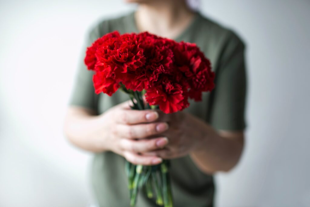 カーネーションの鉢植えに元気がない時の復活方法 来年も咲かせたい あいらぶぽーぽき